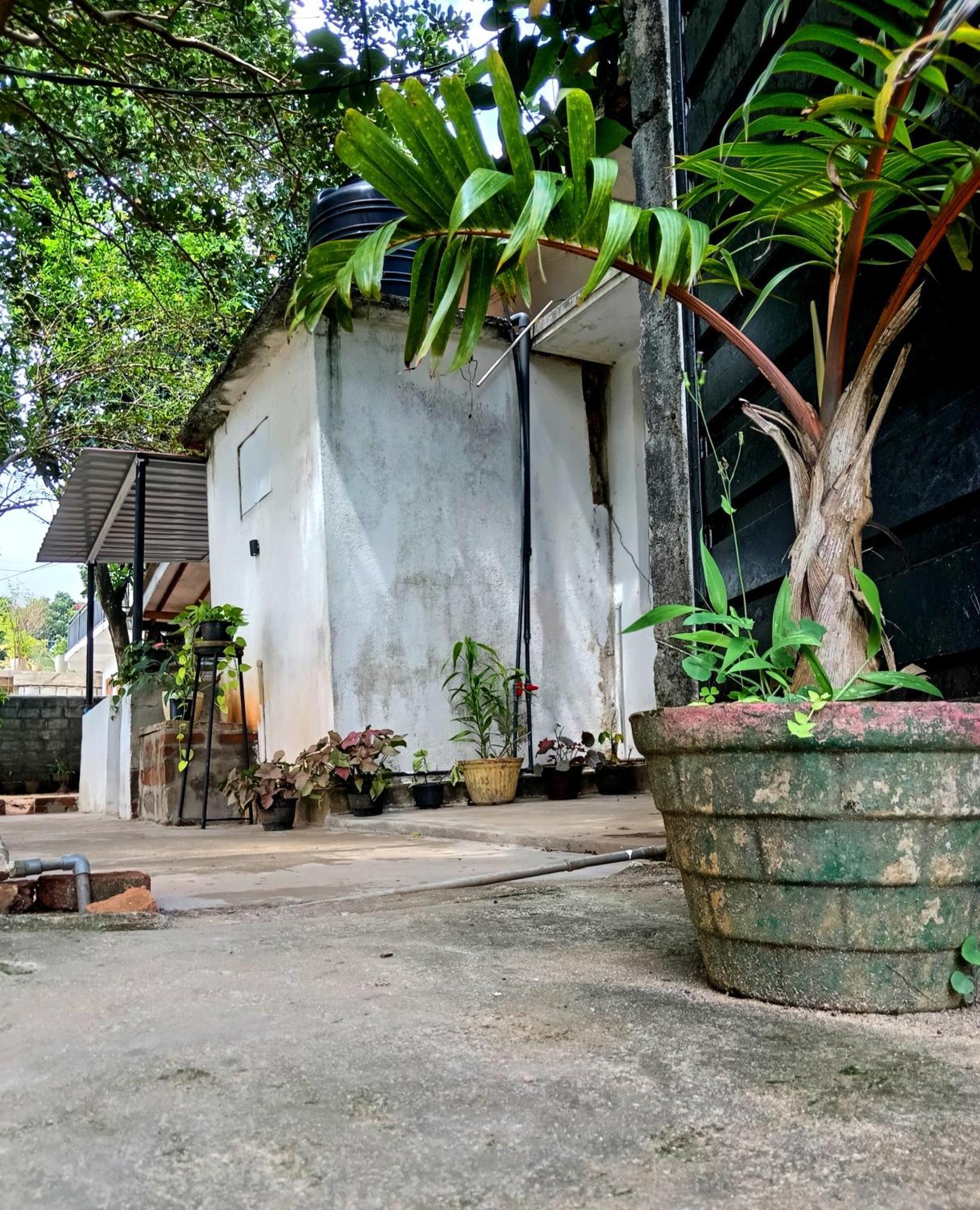 Fly Infinity - Home Stay كاندي المظهر الخارجي الصورة