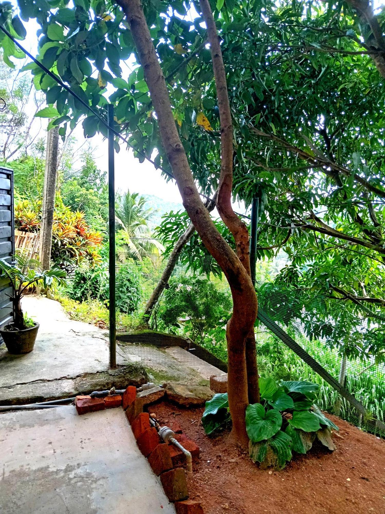 Fly Infinity - Home Stay كاندي المظهر الخارجي الصورة