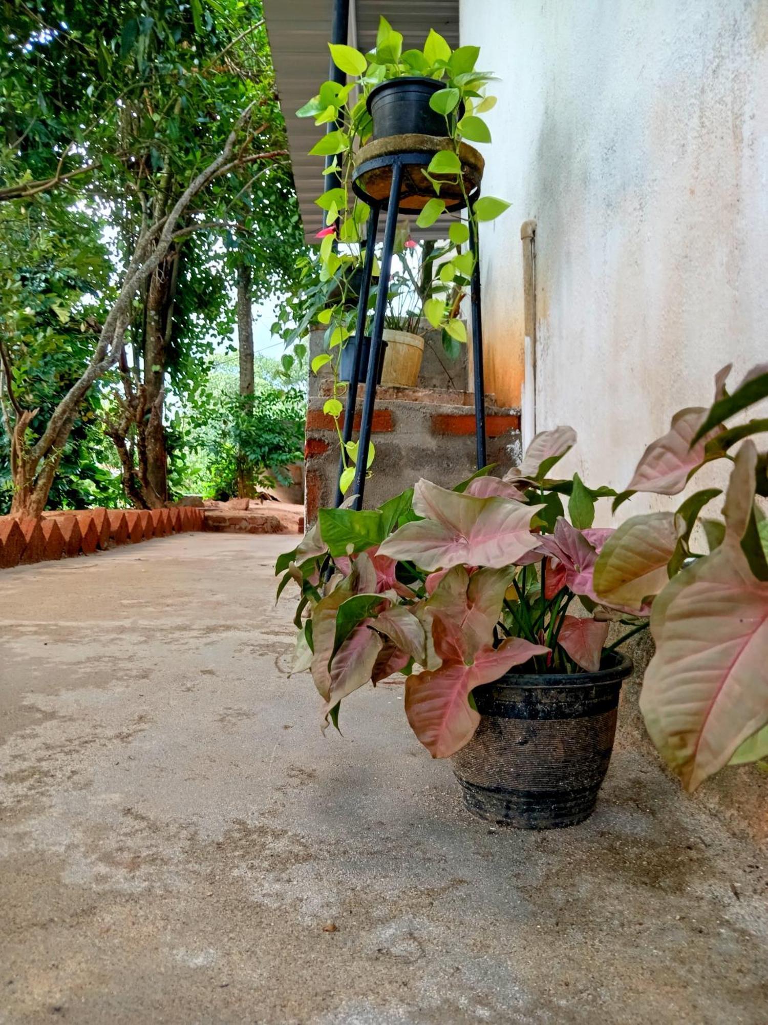 Fly Infinity - Home Stay كاندي المظهر الخارجي الصورة